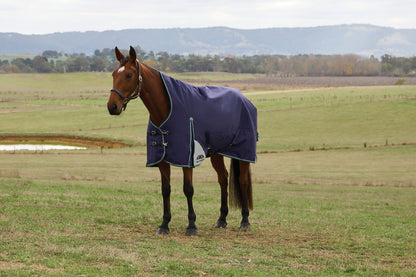 Weatherbeeta ComFiTec Plus Dynamic Turnout High Neck 0g