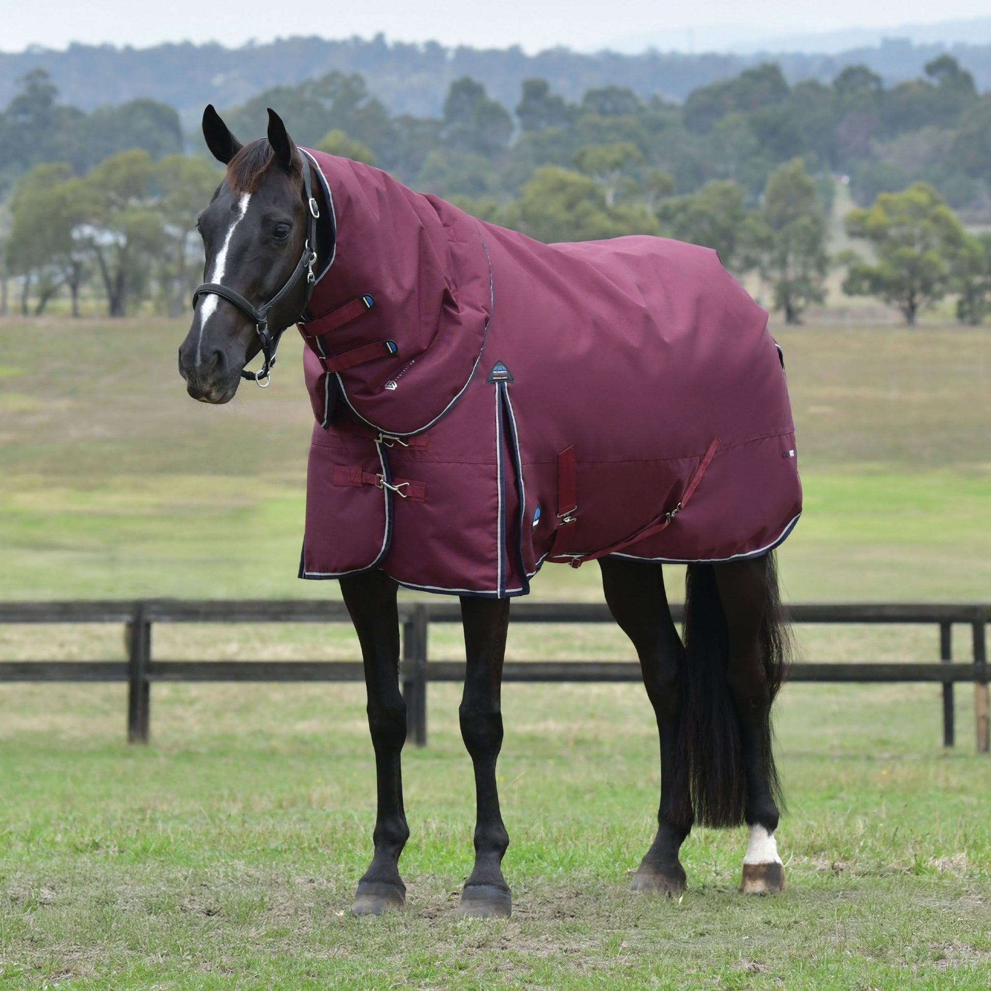 Weatherbeeta ComFiTec Essential Turnout Detach-A-Neck 360g