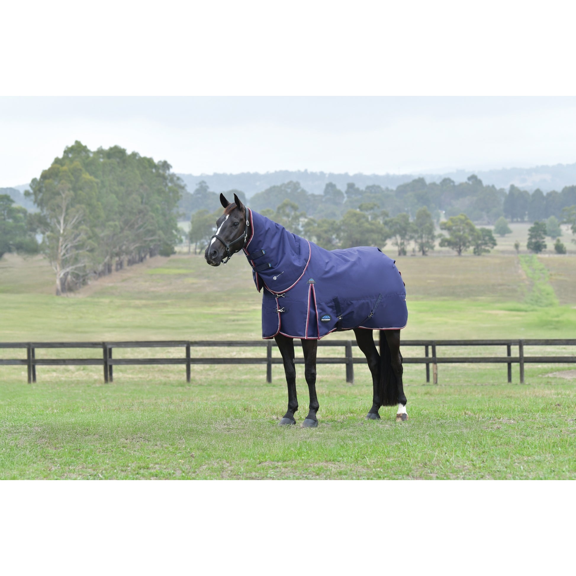 Weatherbeeta ComFiTec Essential Turnout Detach-A-Neck 360g