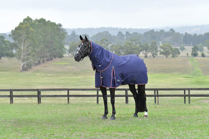 Weatherbeeta ComFiTec Essential Turnout Detach-A-Neck 50g