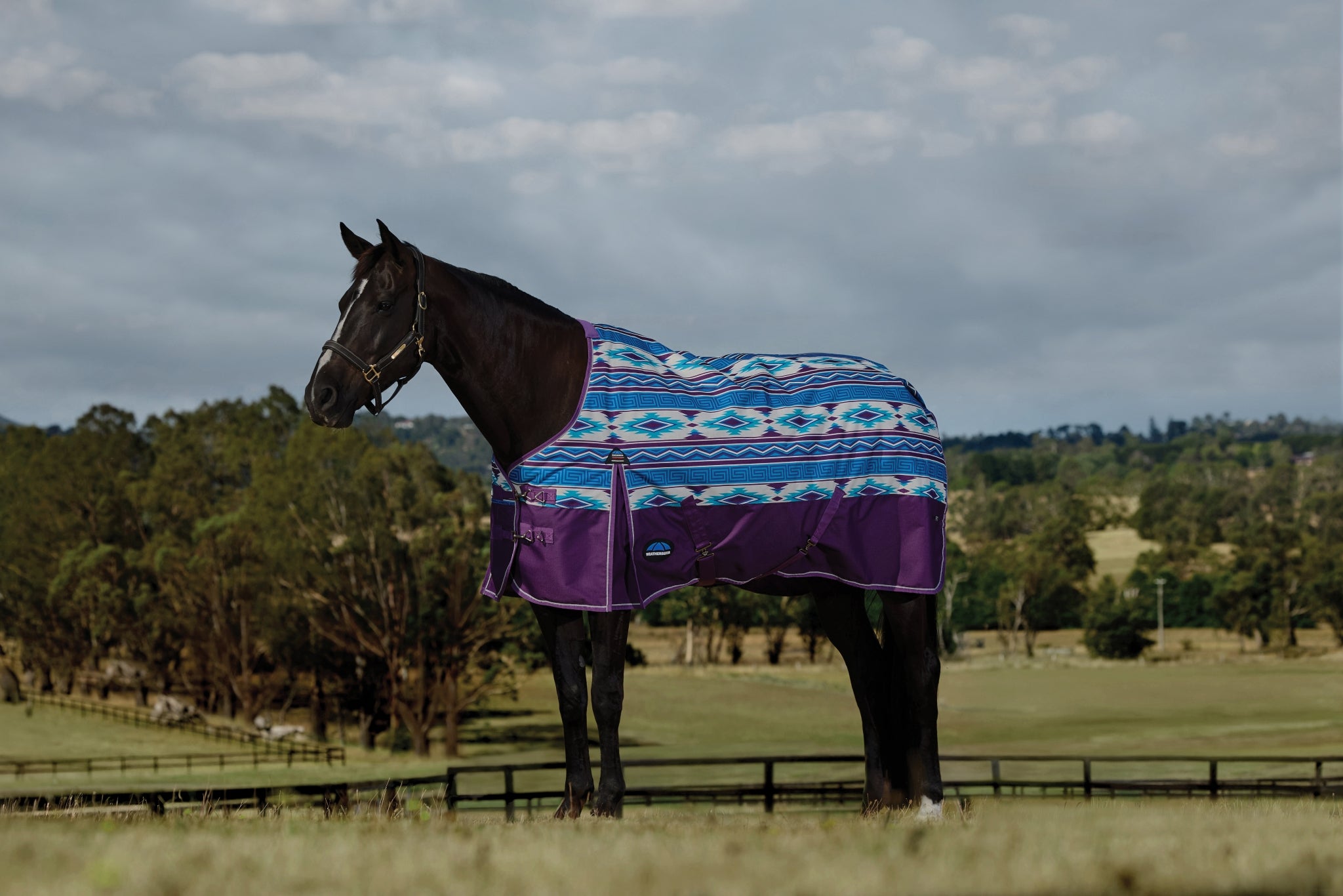 Weatherbeeta ComFiTec Legend Turnout Standard Neck 220g