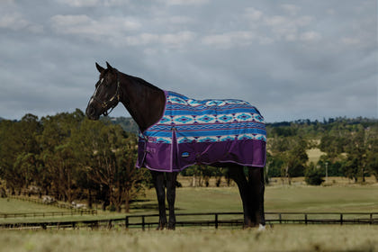 Weatherbeeta ComFiTec Legend Turnout Standard Neck 220g