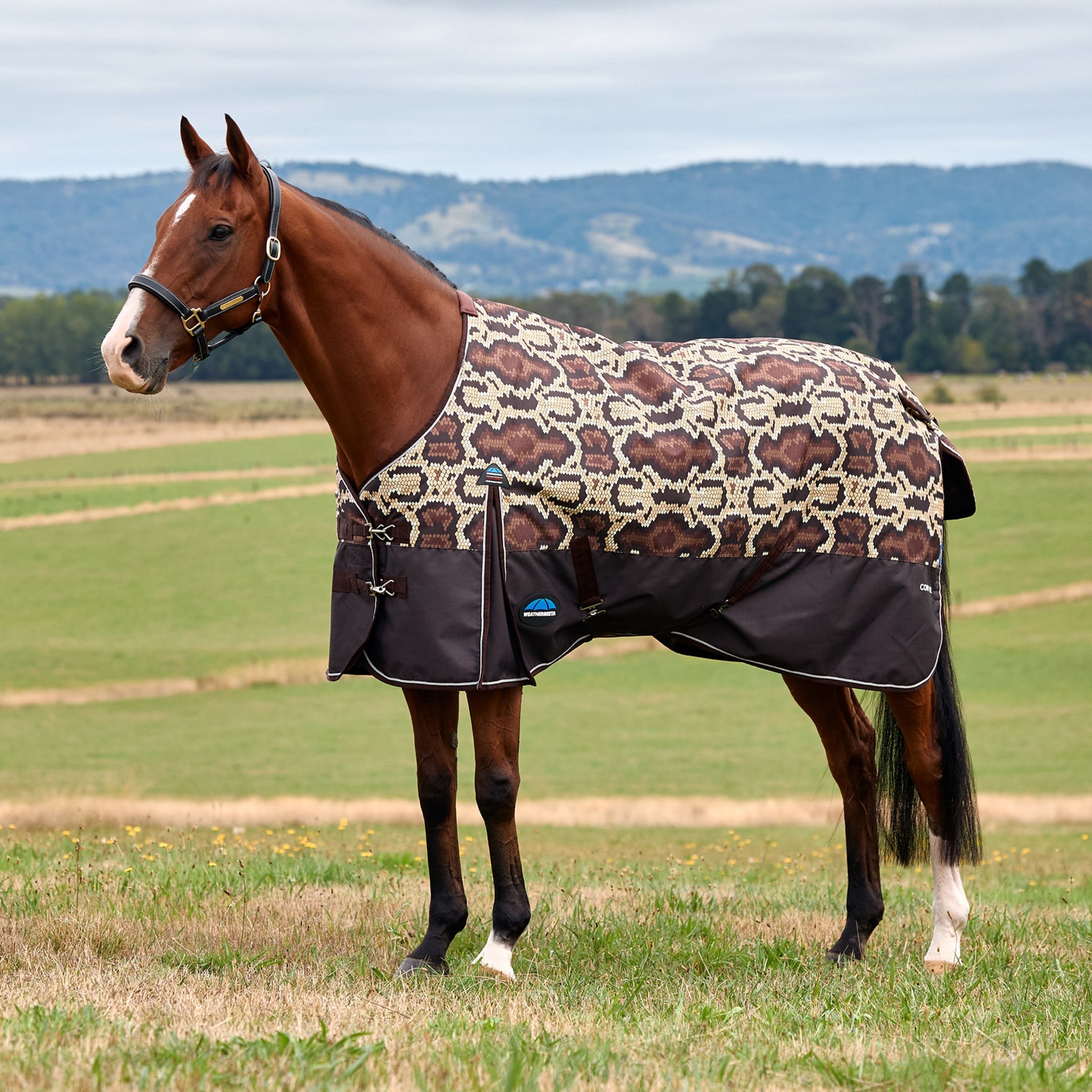 Weatherbeeta ComFiTec Legend Turnout Standard Neck 220g