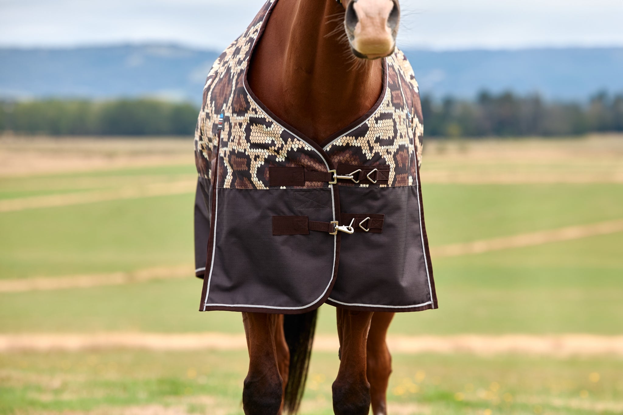 Weatherbeeta ComFiTec Legend Turnout Standard Neck 220g
