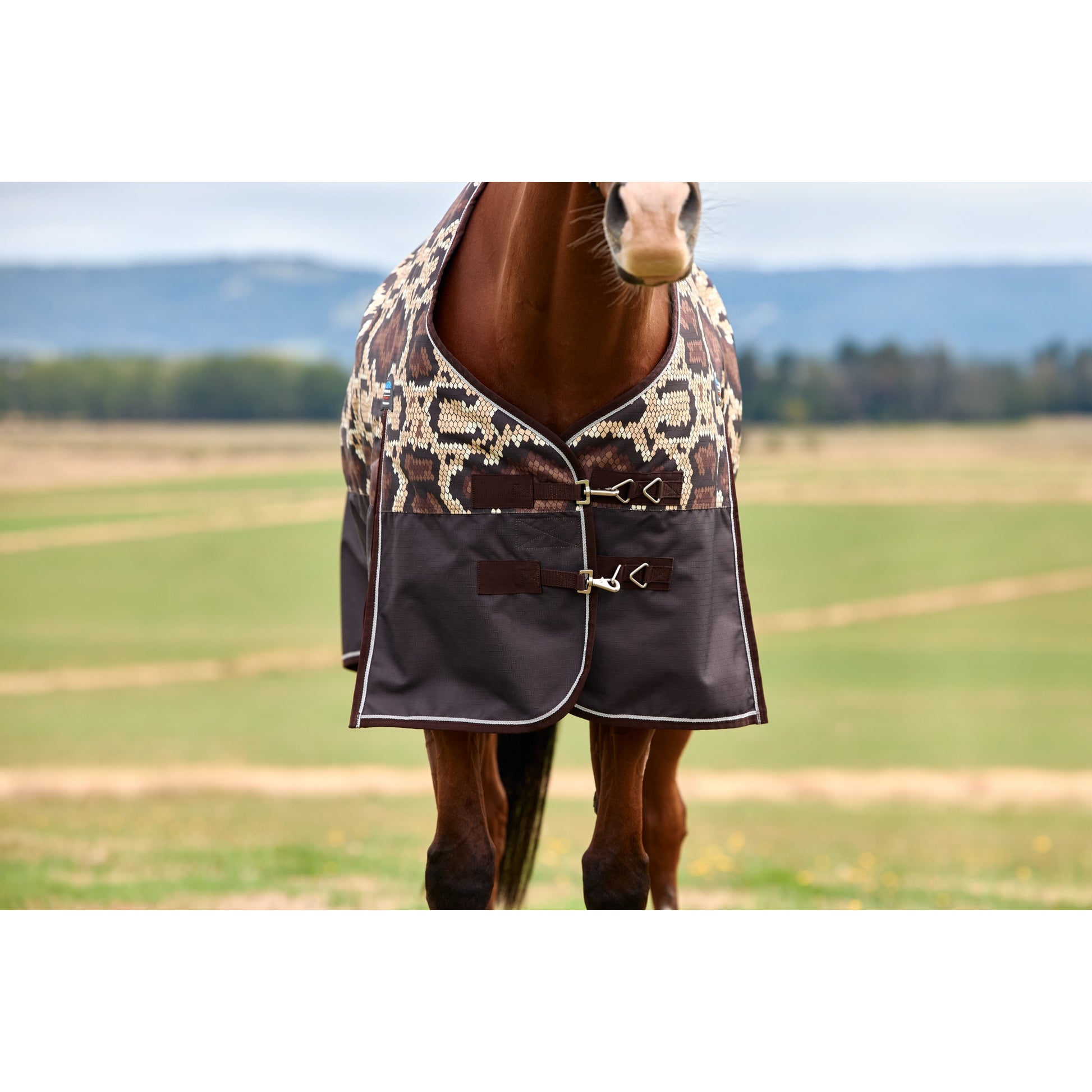 Weatherbeeta ComFiTec Legend Turnout Standard Neck 0g