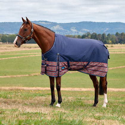 Weatherbeeta ComFiTec Legend Turnout Standard Neck 220g