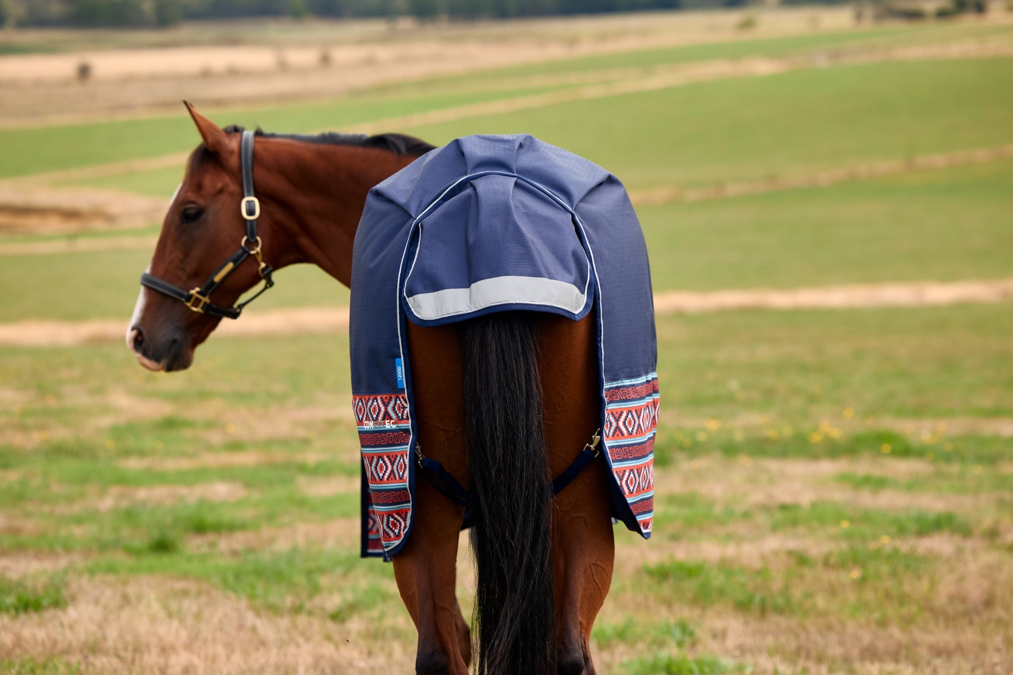 Weatherbeeta ComFiTec Legend Turnout Standard Neck 220g