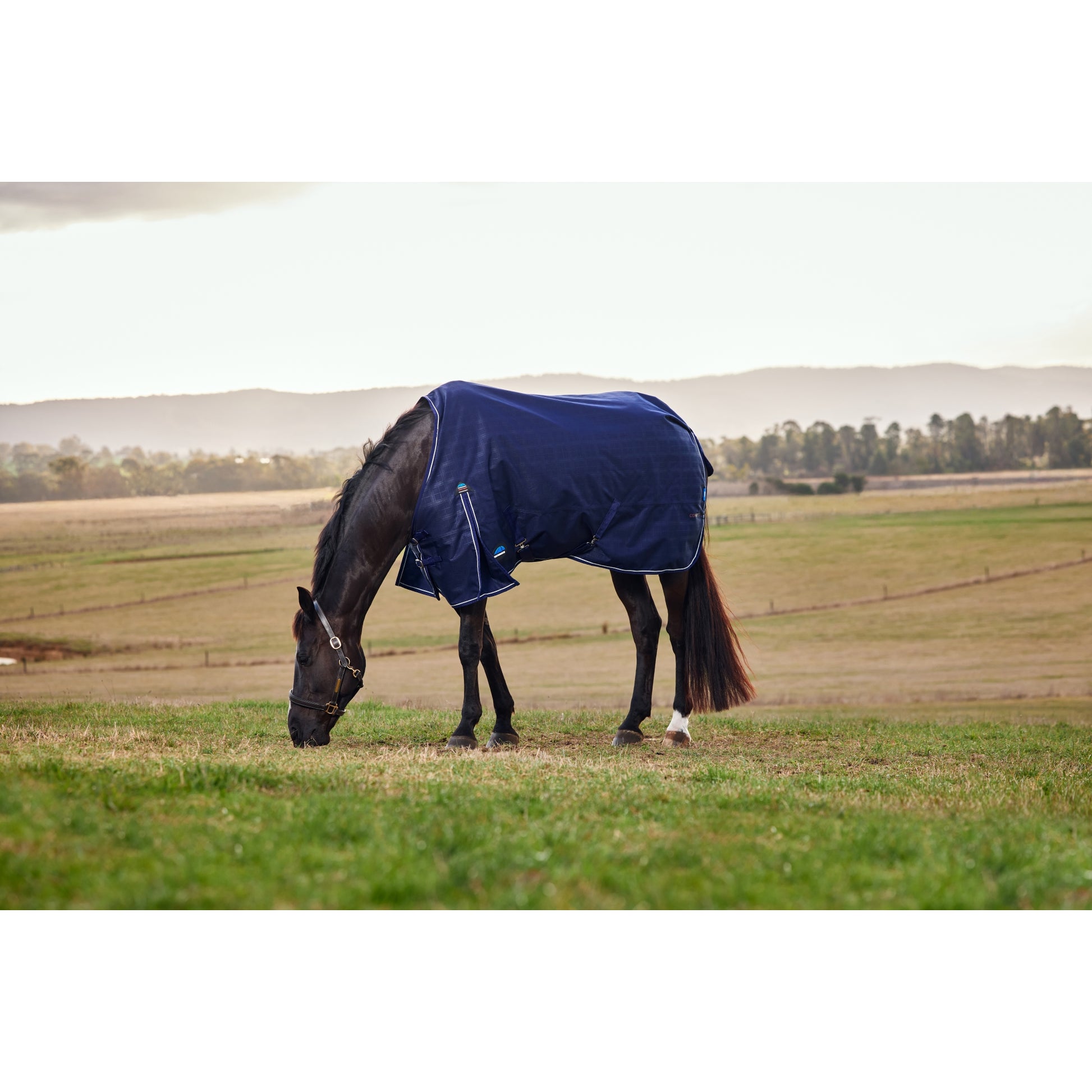 Weatherbeeta ComFiTec Prelim Turnout Standard Neck 100g