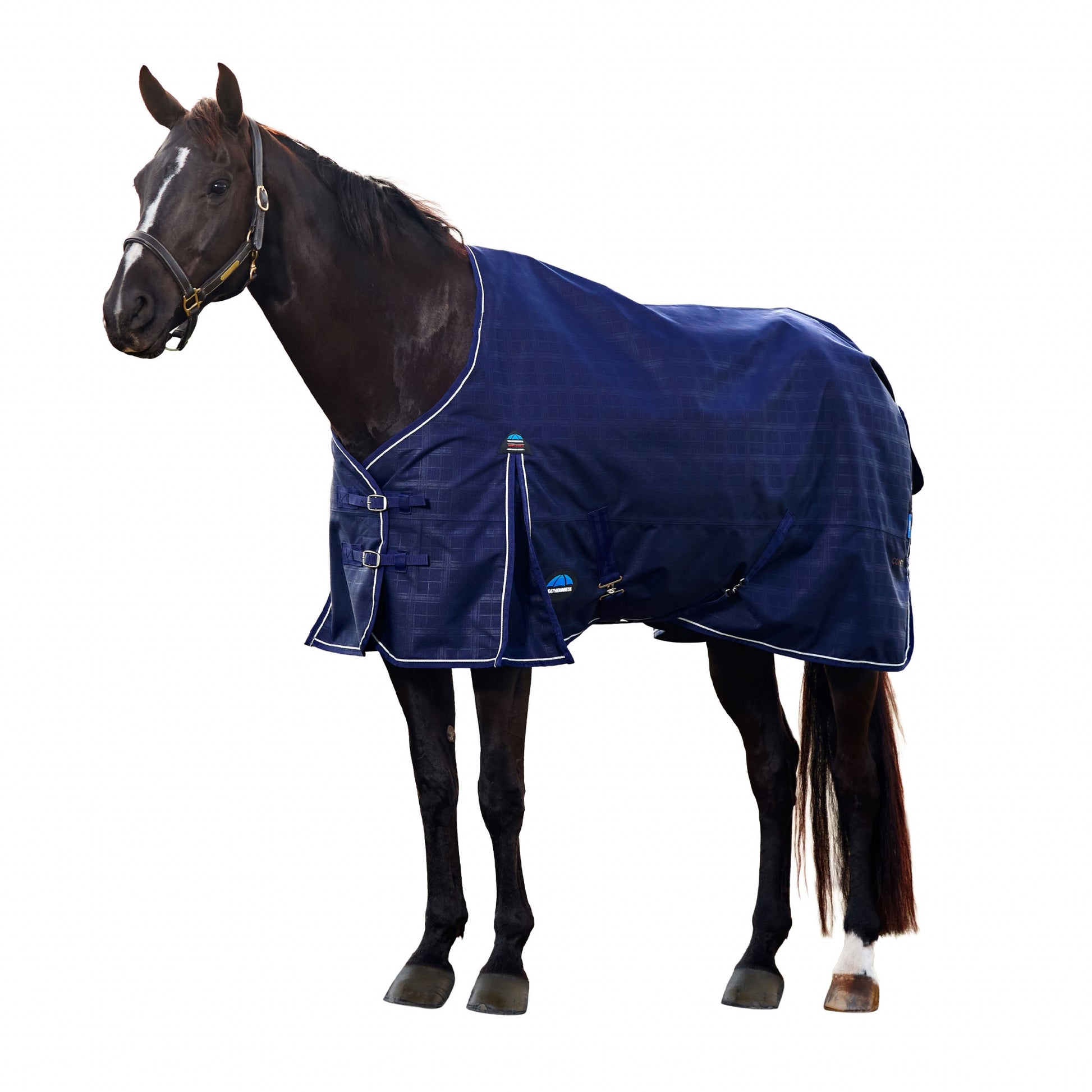 Weatherbeeta ComFiTec Prelim Turnout Standard Neck 100g