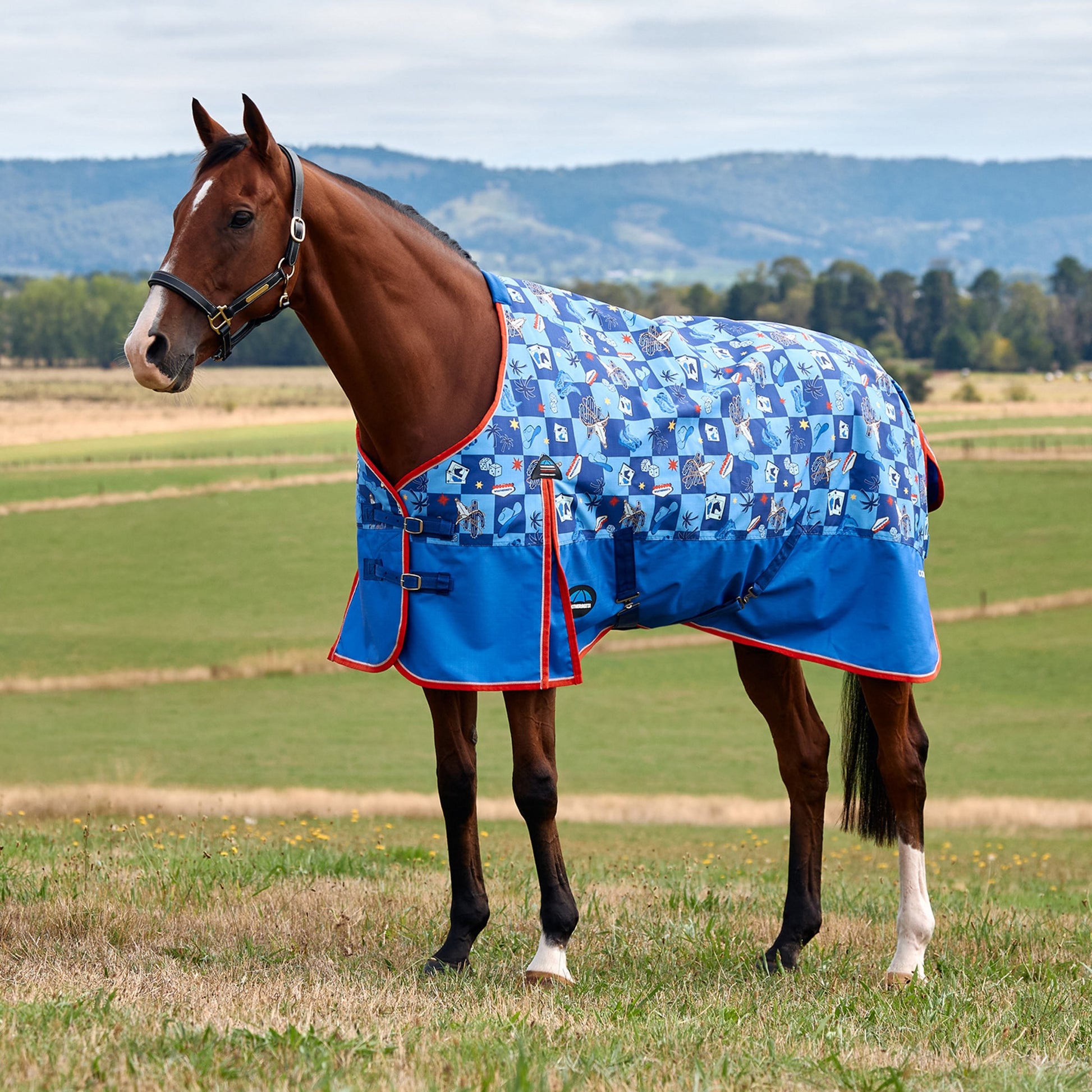 Weatherbeeta ComFiTec Frontier Turnout Standard Neck 220g