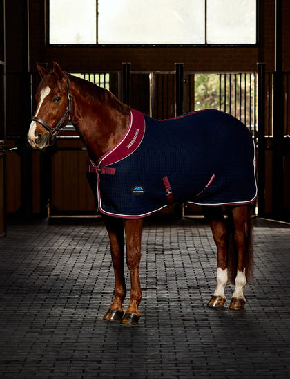 Weatherbeeta Thermocell Cooler Standard Neck