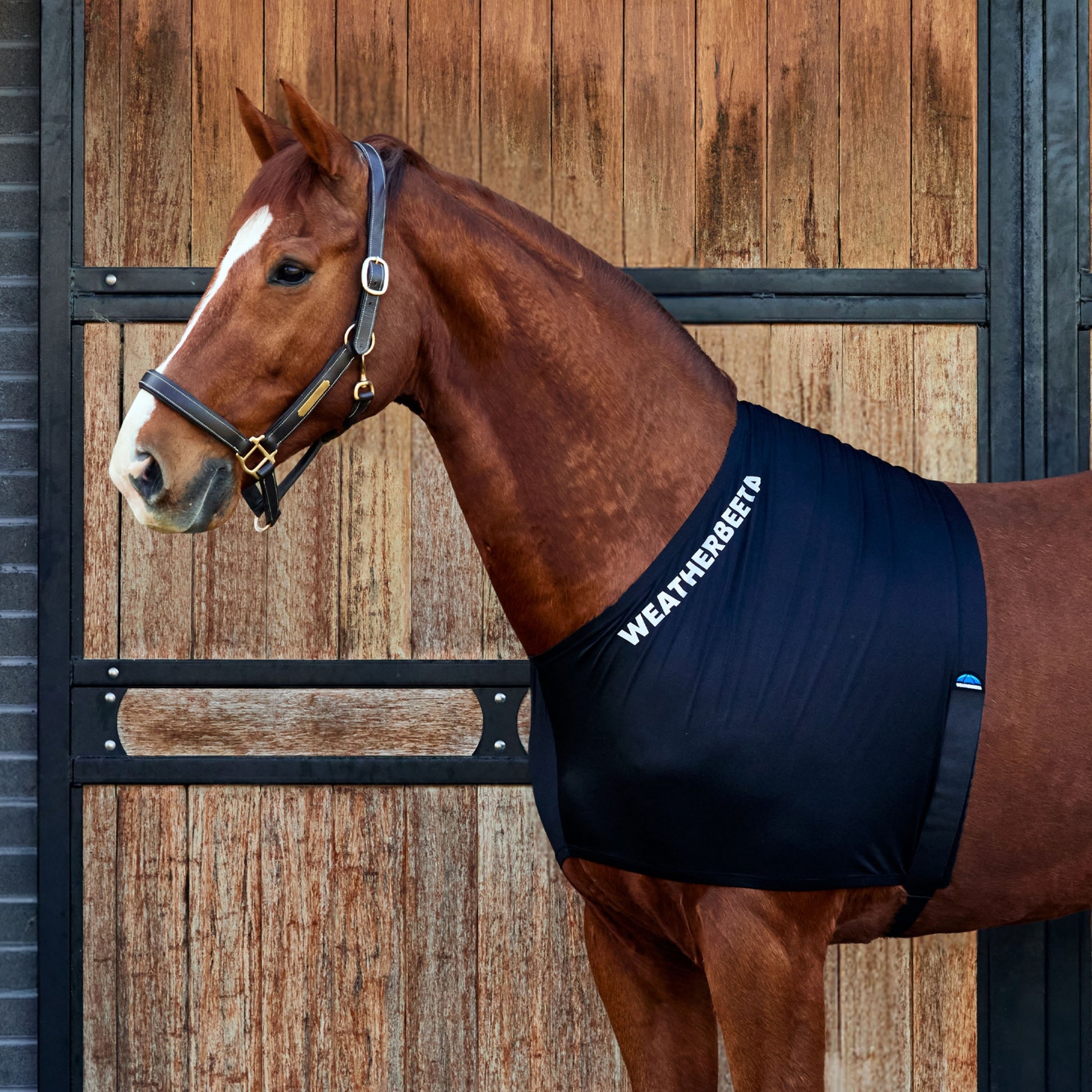 Weatherbeeta Stretch Shoulder Guard