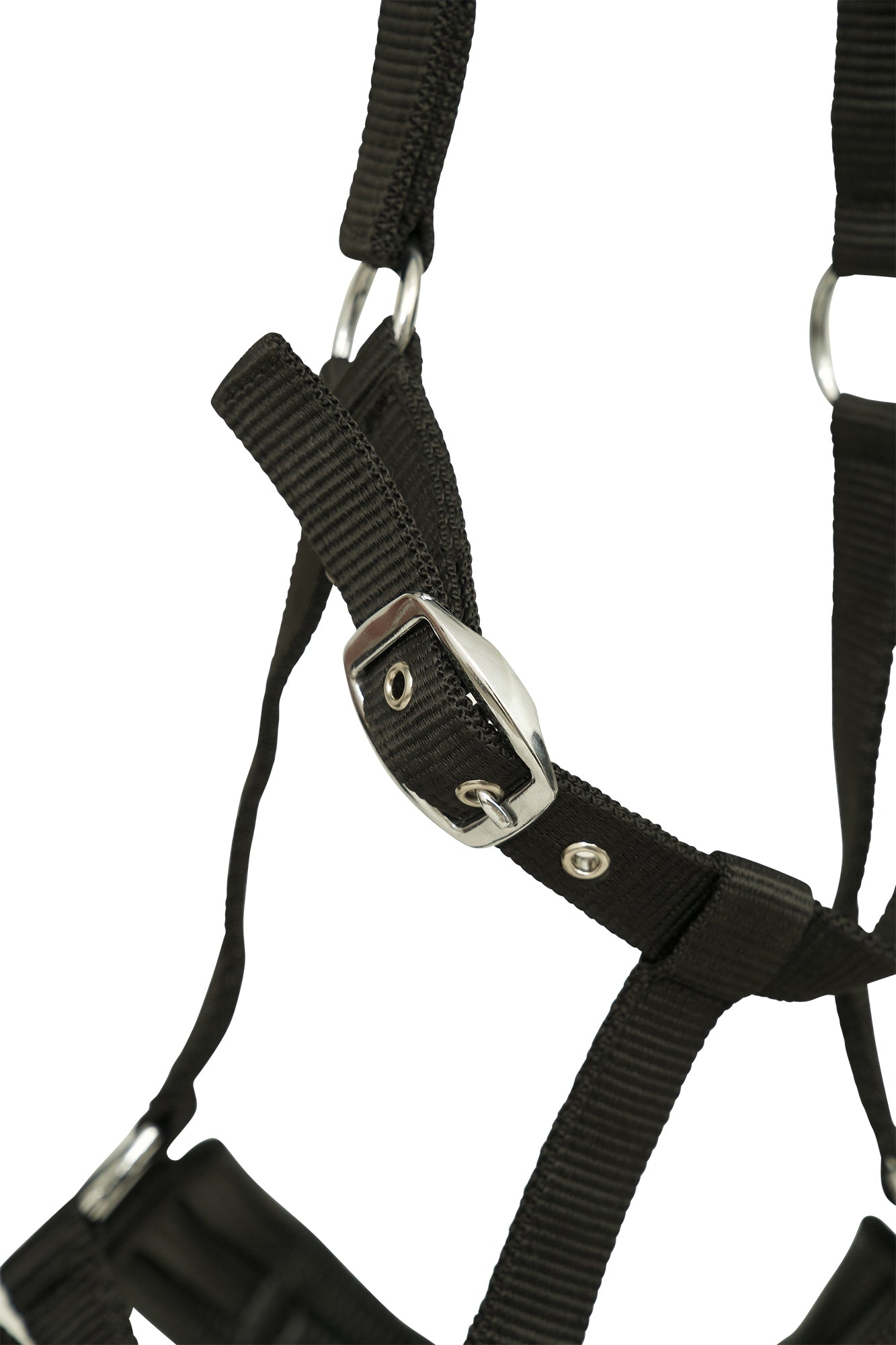 Huntley Equestrian Nylon Padded Lunging Caveson