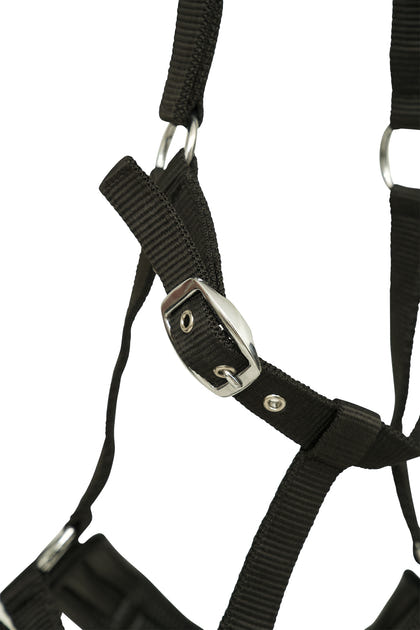 Huntley Equestrian Nylon Padded Lunging Caveson