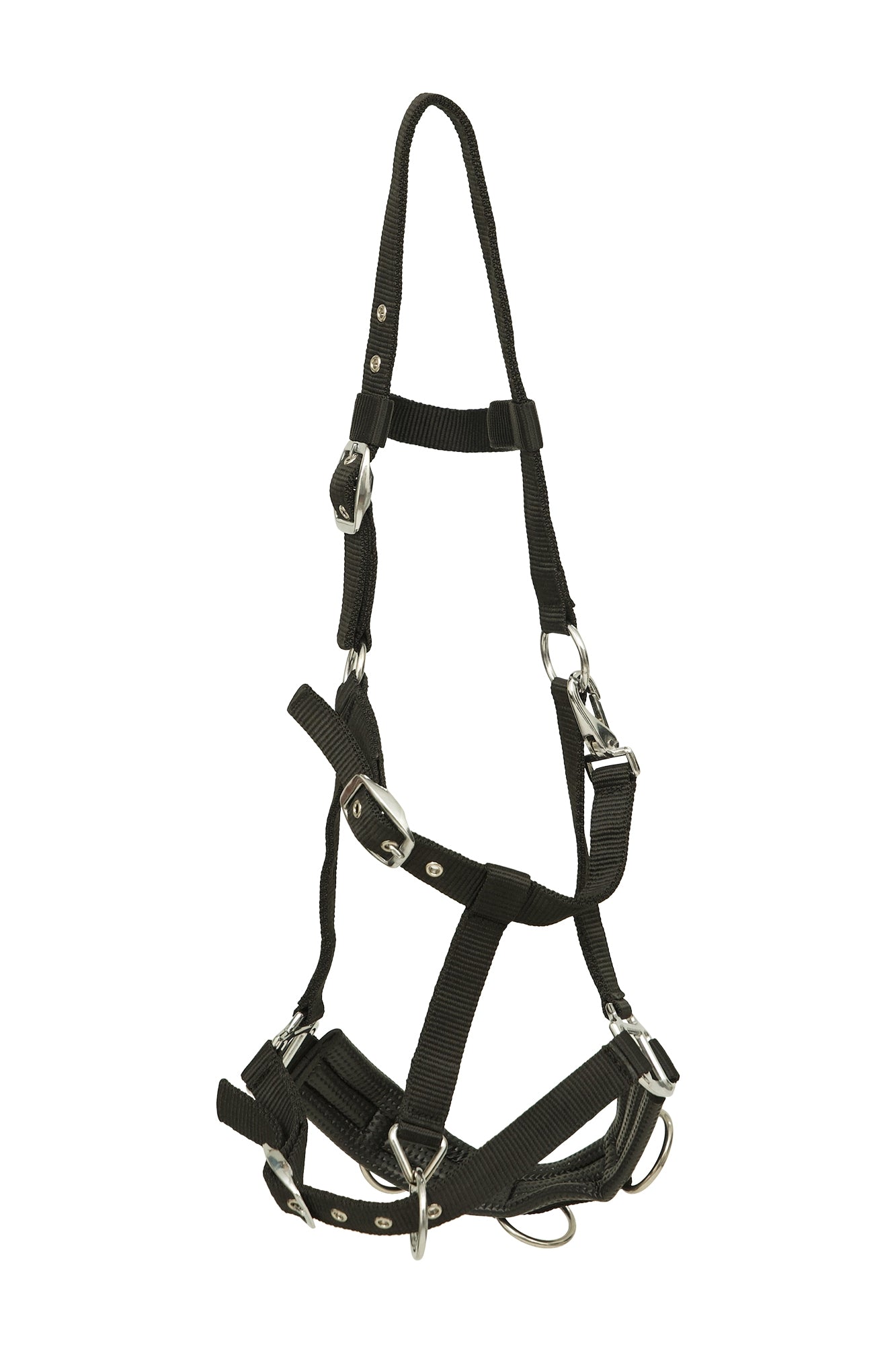 Huntley Equestrian Nylon Padded Lunging Caveson