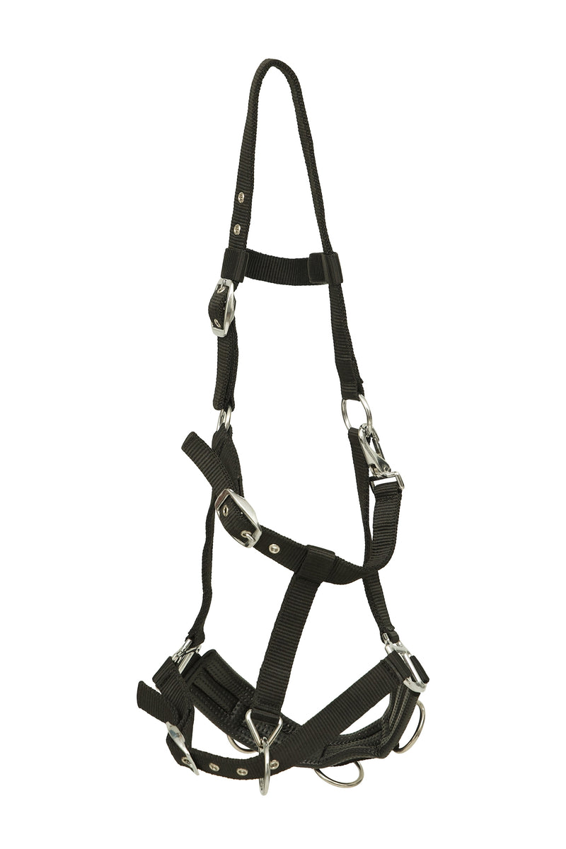 Huntley Equestrian Nylon Padded Lunging Caveson