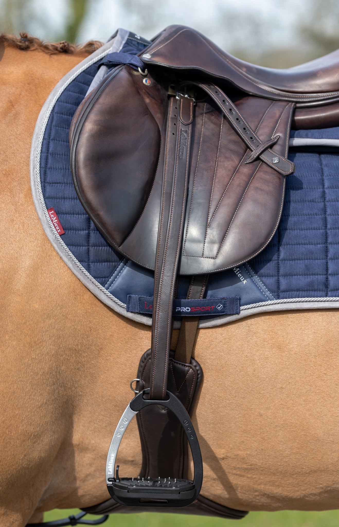 Lemieux Vector Stirrup Leathers