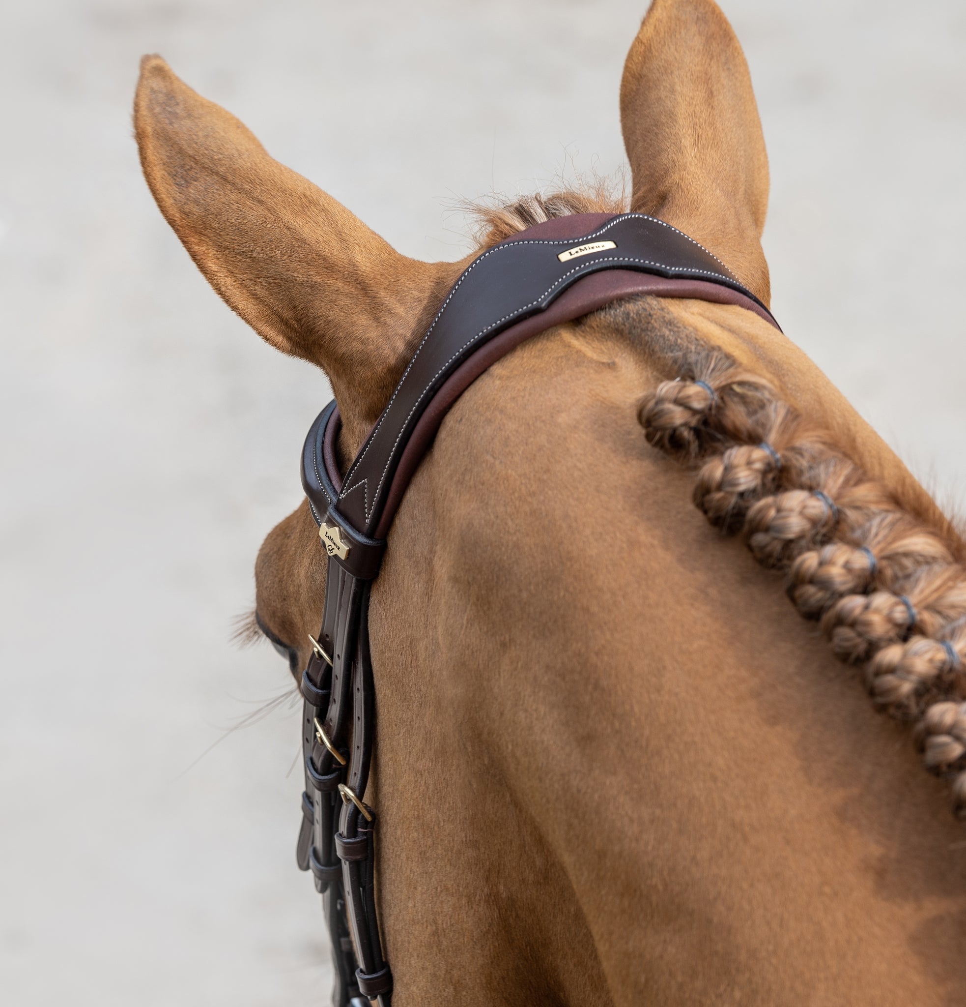 LeMieux Kudos Competition Flash Bridle