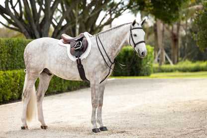 Lemieux Merino+ ProSorb Hunter Saddle Pad