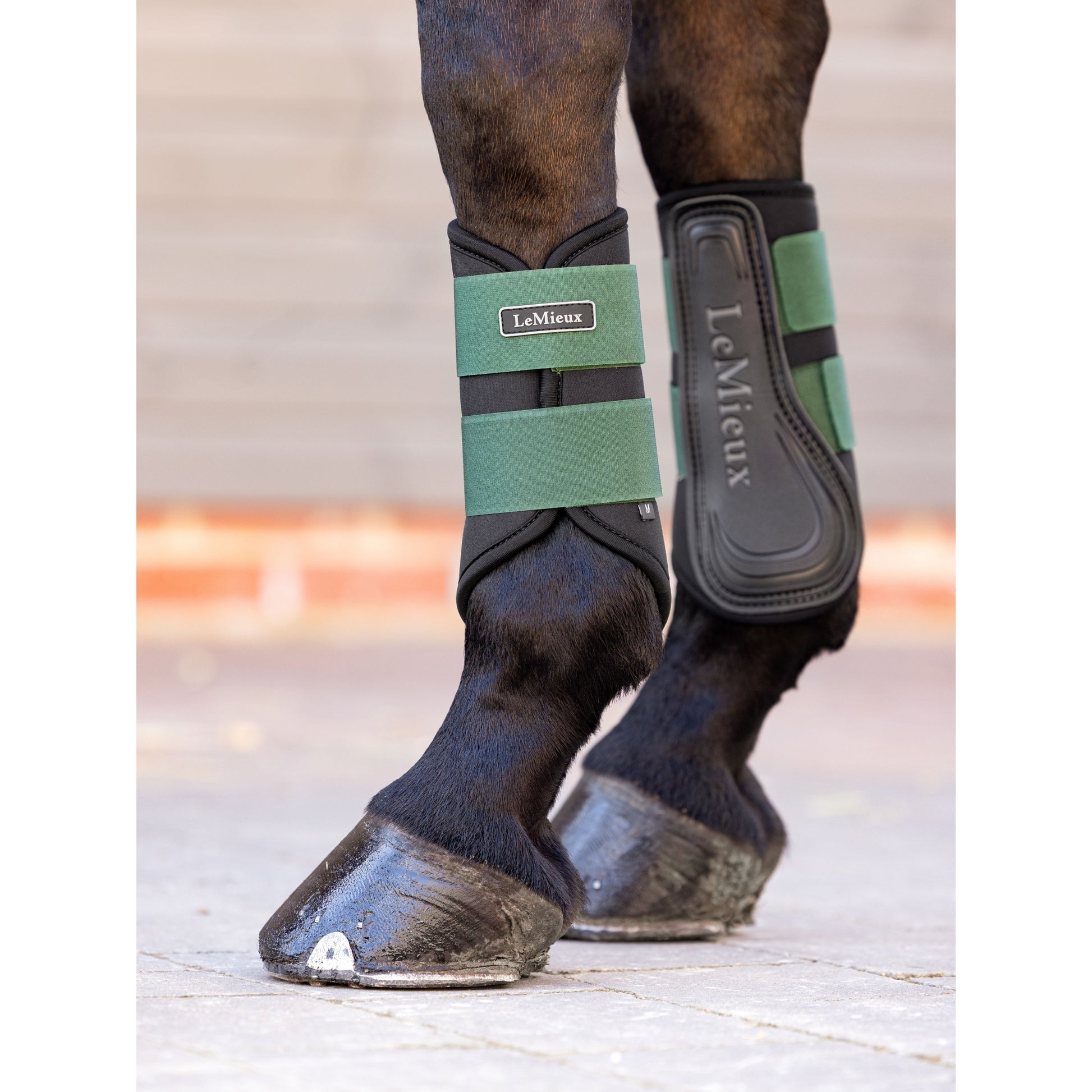 Lemieux Grafter Brushing Boots