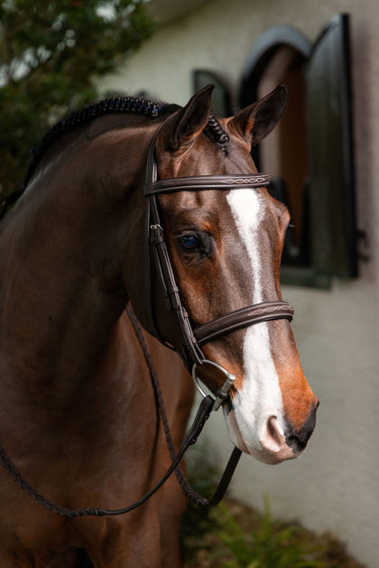 LeMieux Stitched Hunter Bridle with Laced Reins