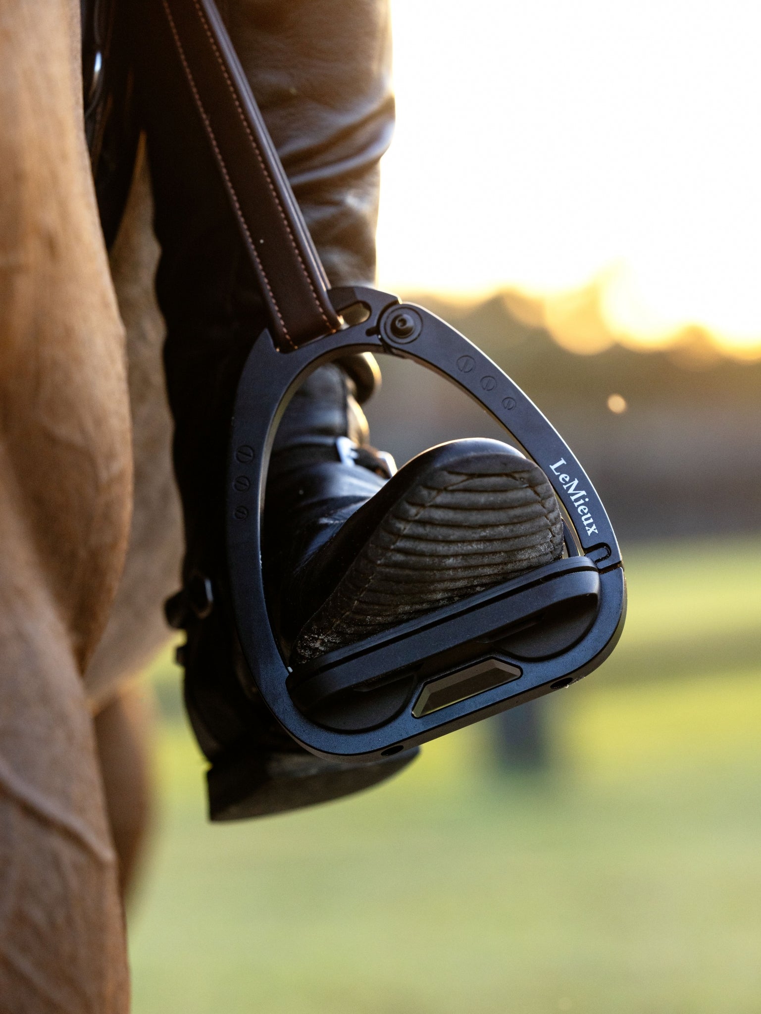 Lemieux Vector Balance Stirrups