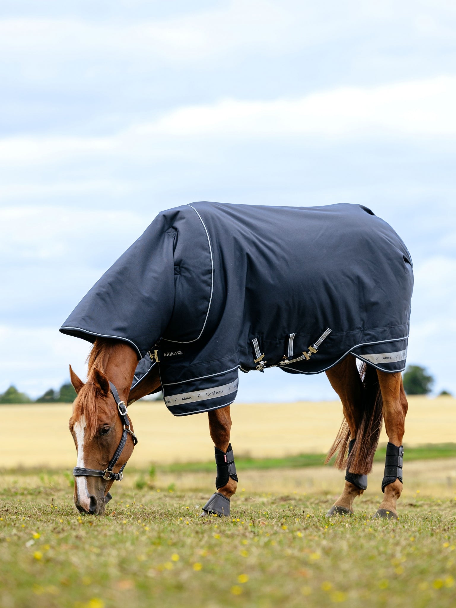 LeMieux Arika Storm-Tek Rug 100g