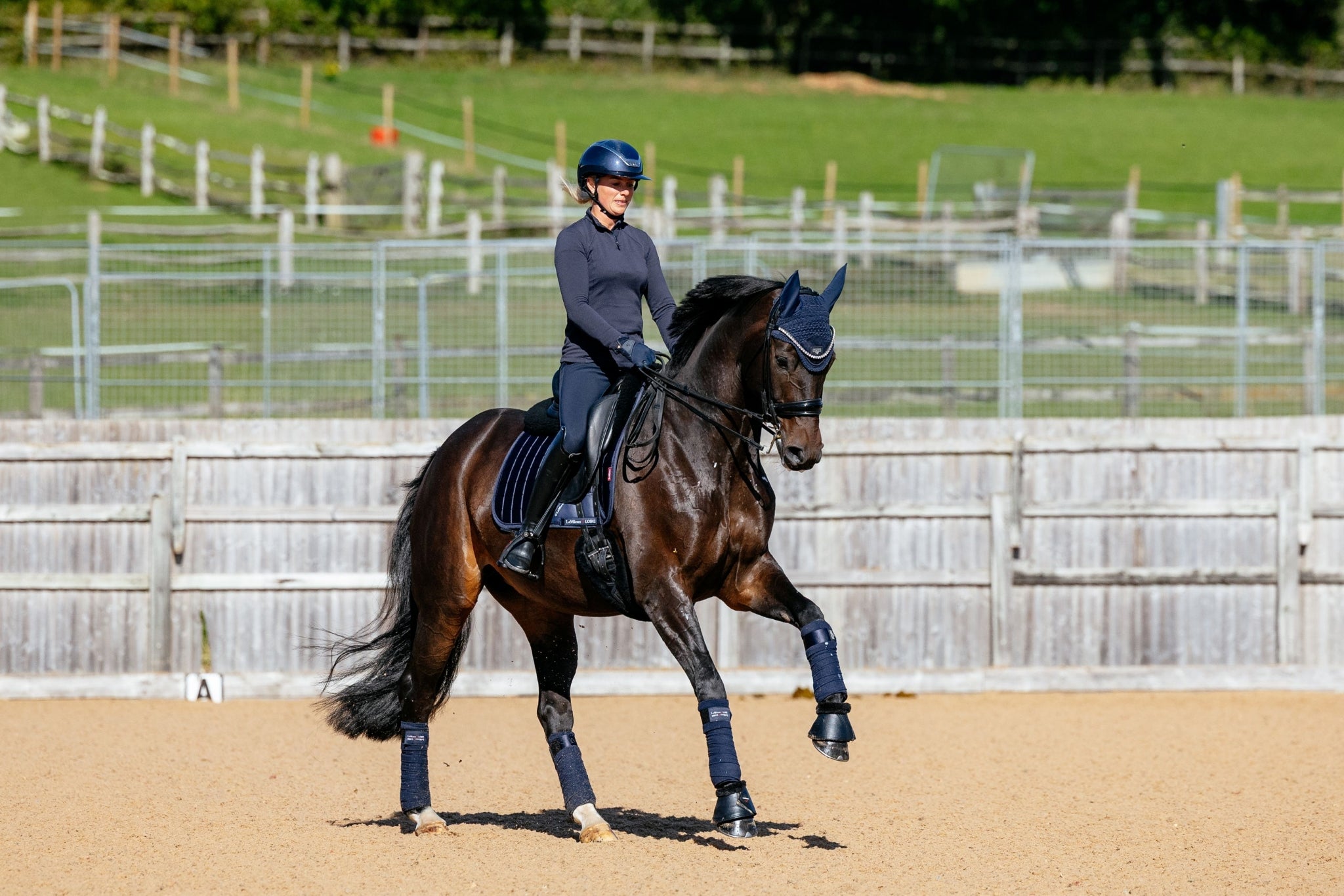 Lemieux Loire Dressage Square Pad
