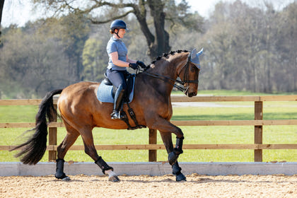 Lemieux Suede Dressage Square Pad