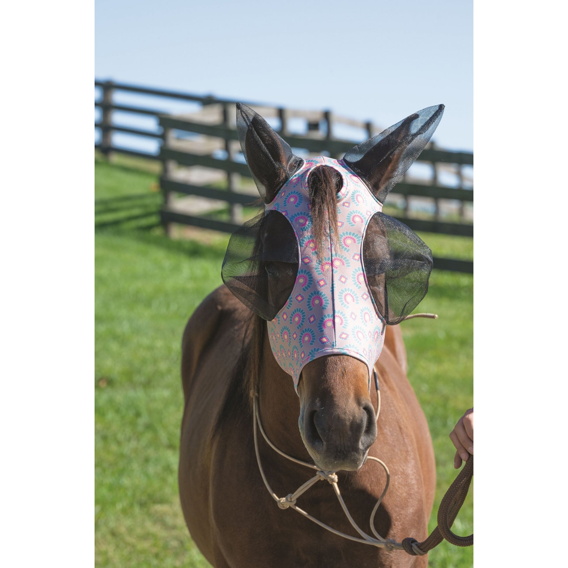 Weaver CoolAid Equine Lycra Fly Mask