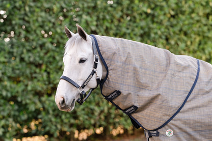 Amigo 900D Revive Plus Turnout 200g