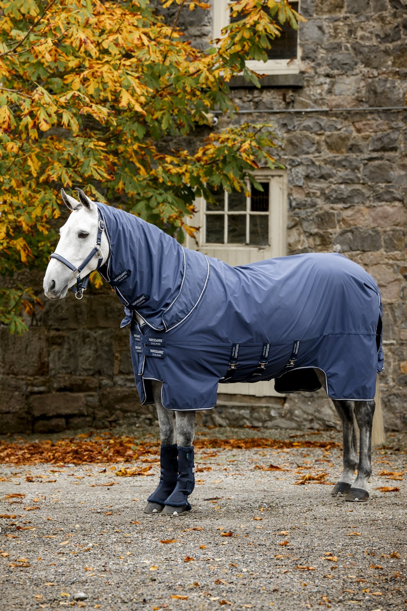 Horseware Show Ready Blanket