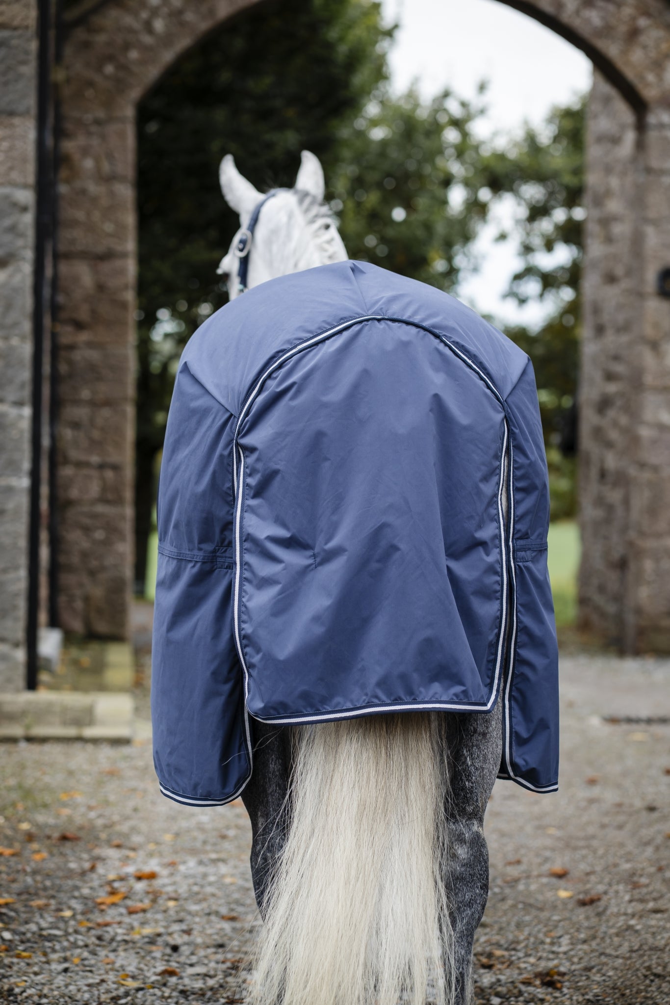 Horseware Show Ready Blanket