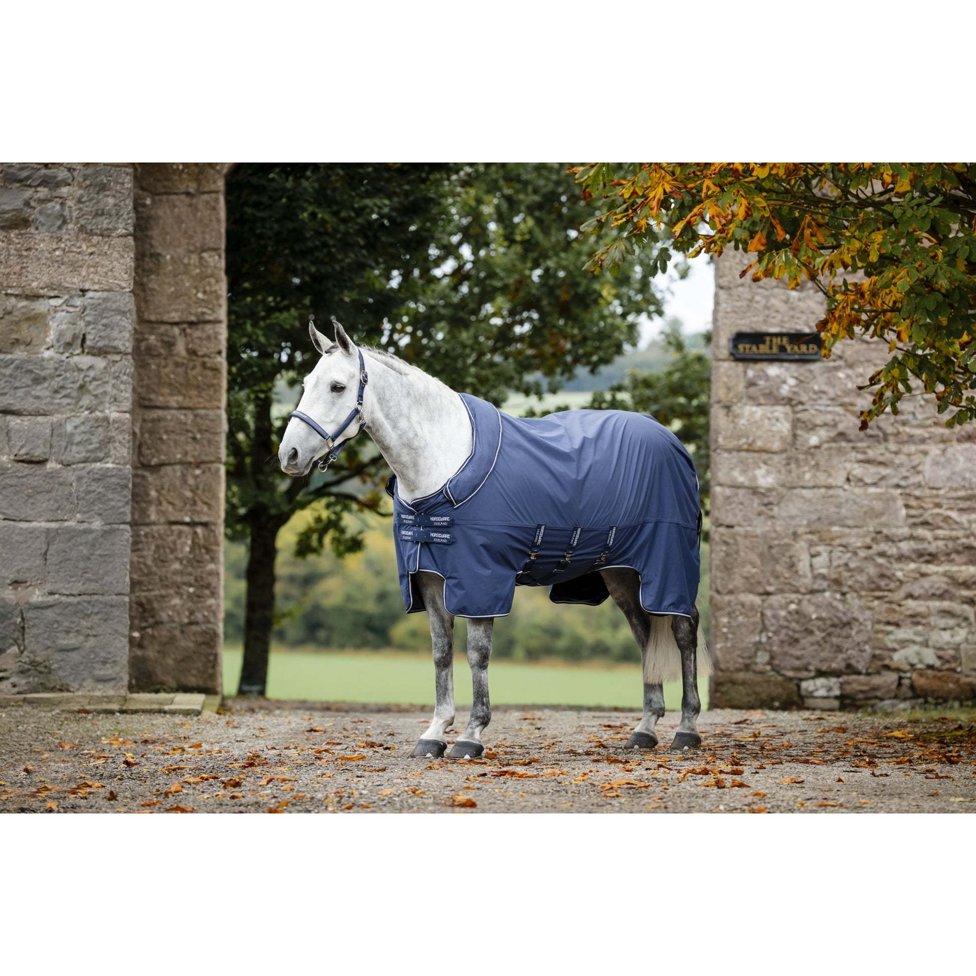 Horseware Show Ready Blanket