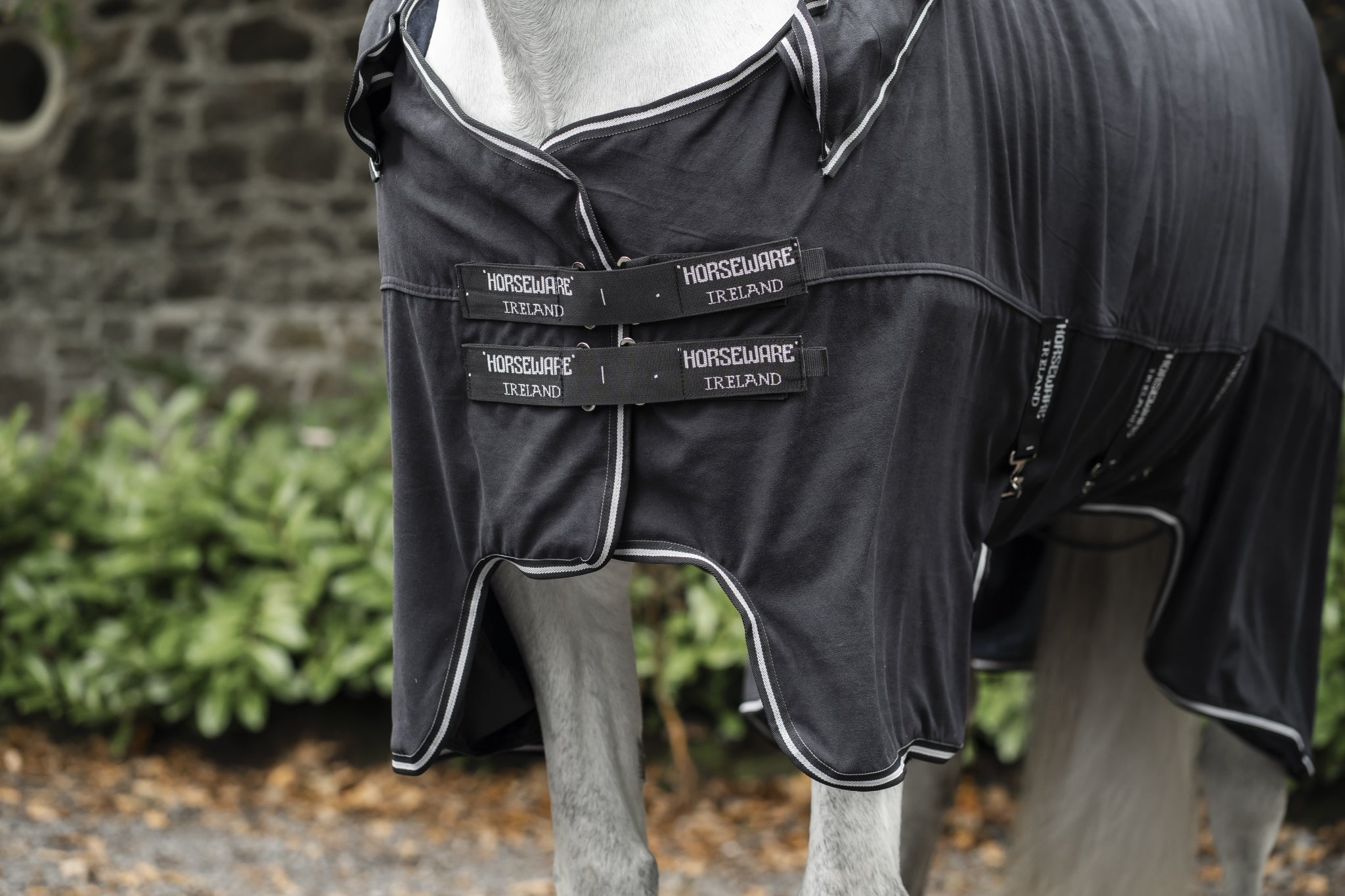 Horseware Show Ready Blanket