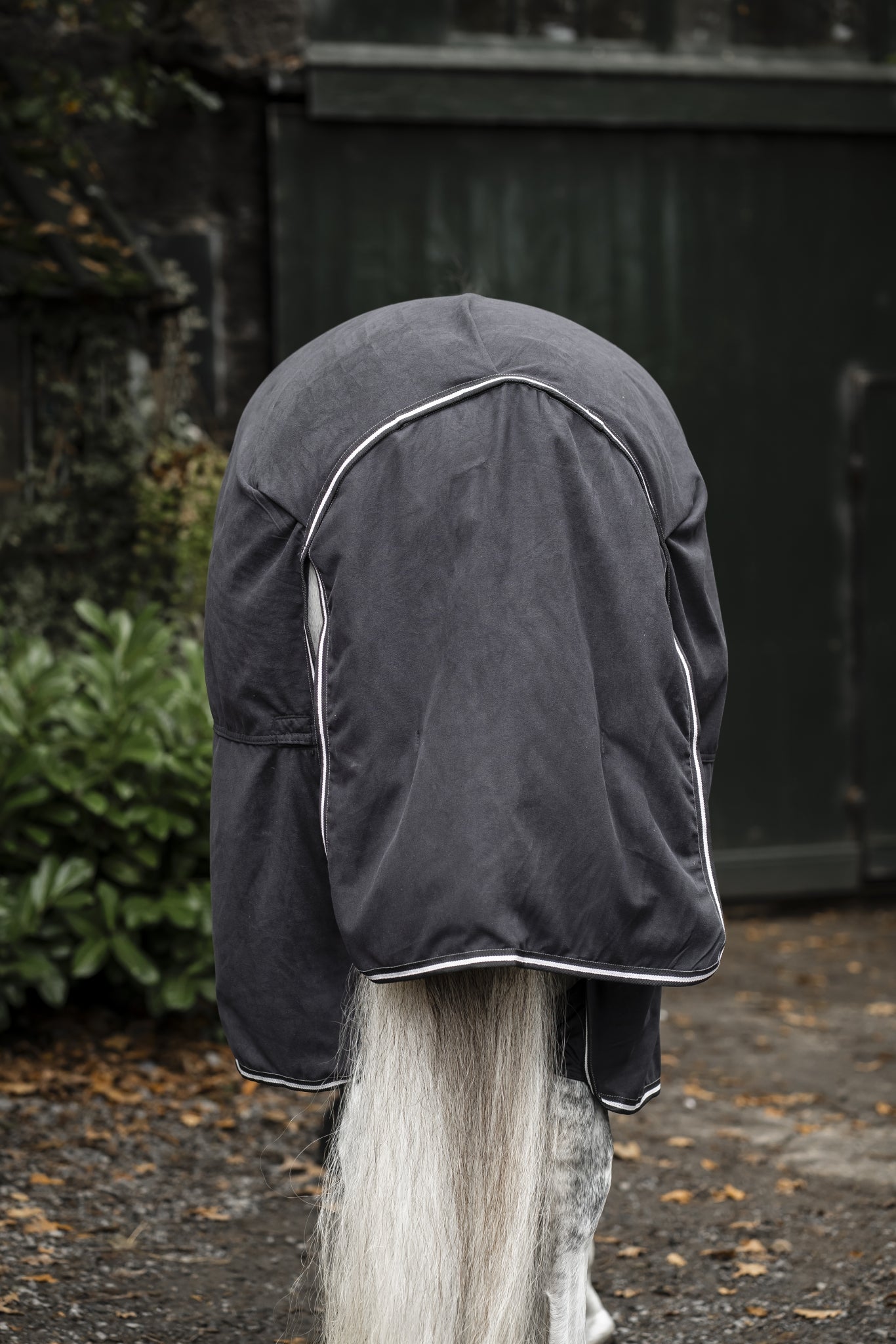 Horseware Show Ready Blanket