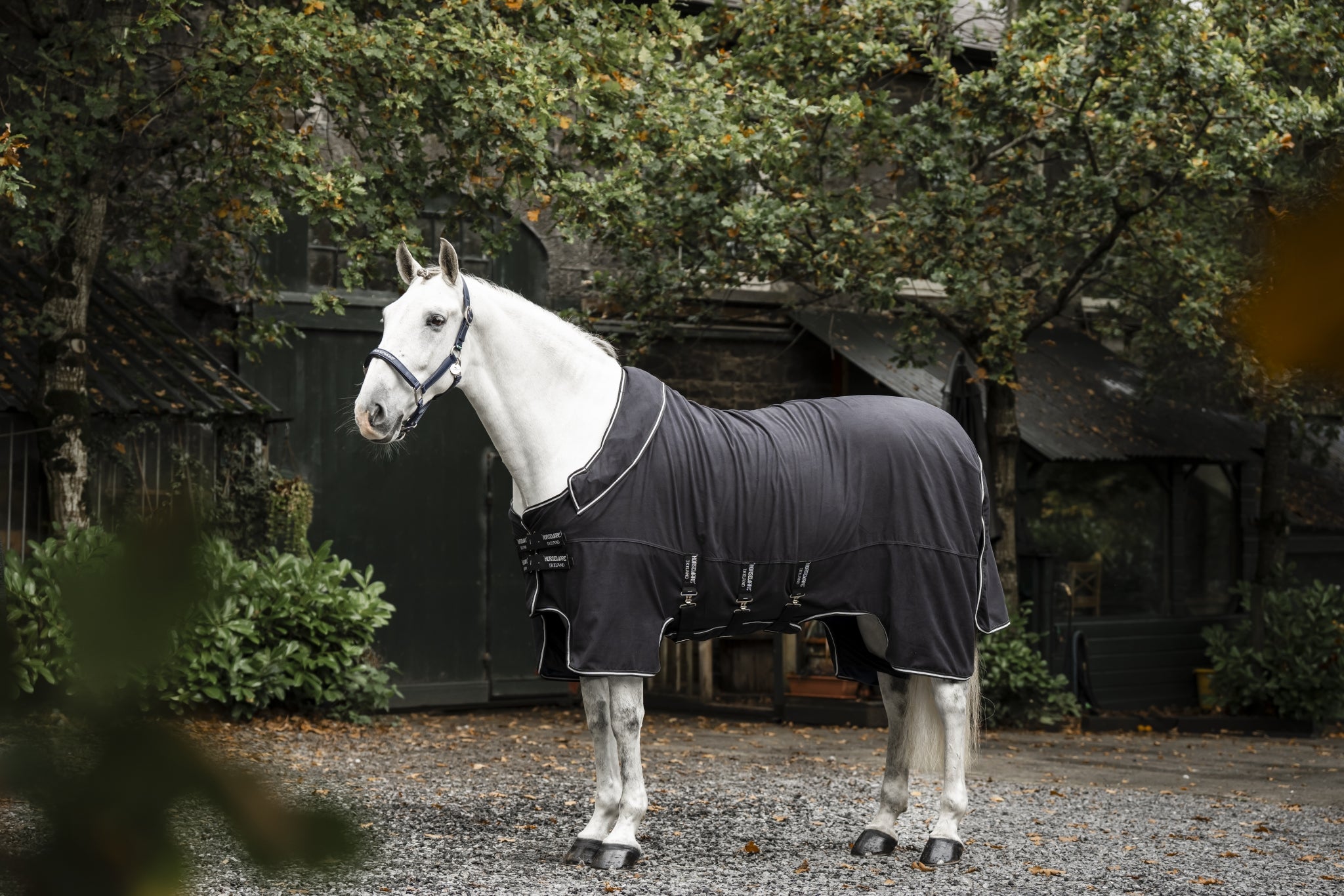 Horseware Show Ready Blanket