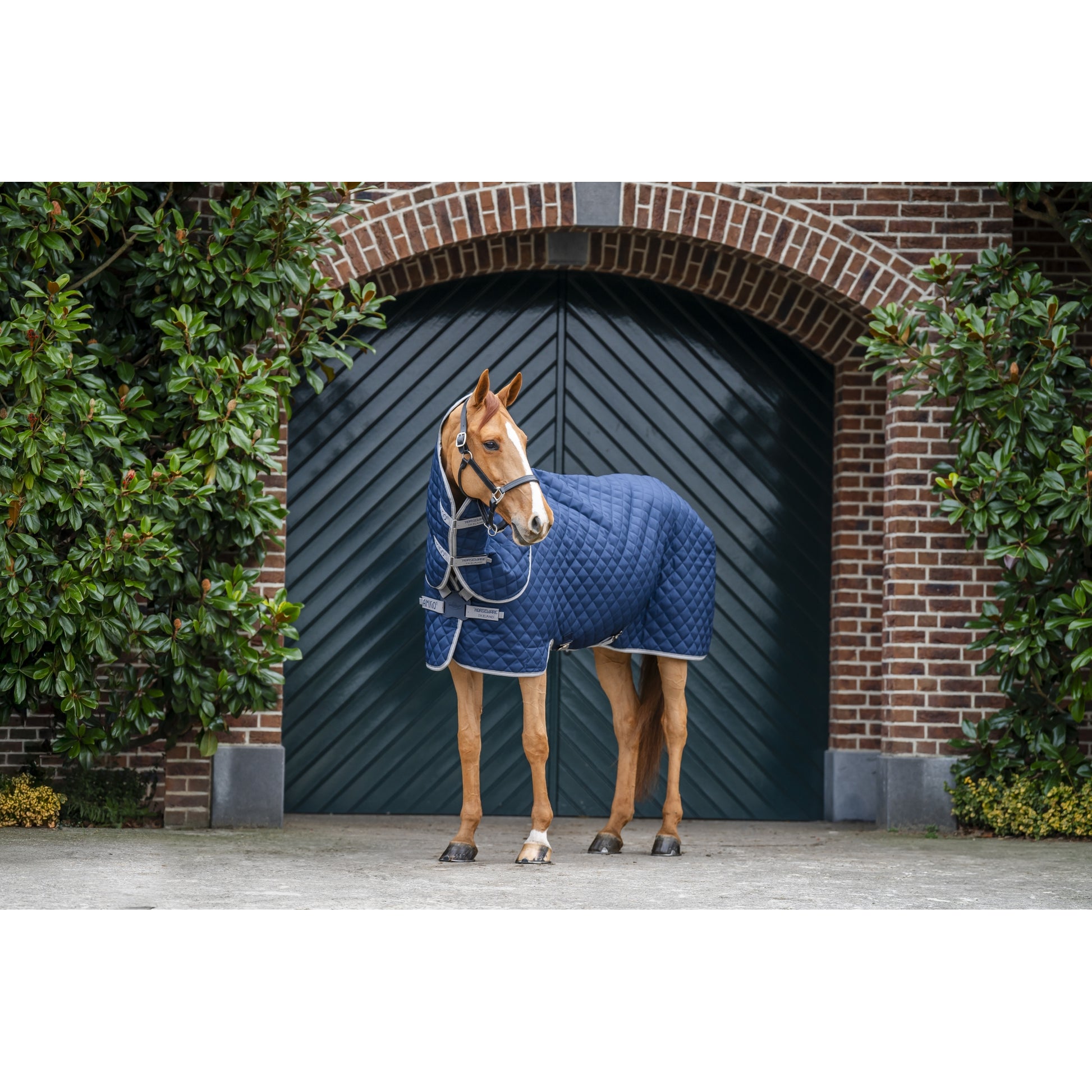 Amigo Quilted Stable Plus 200g