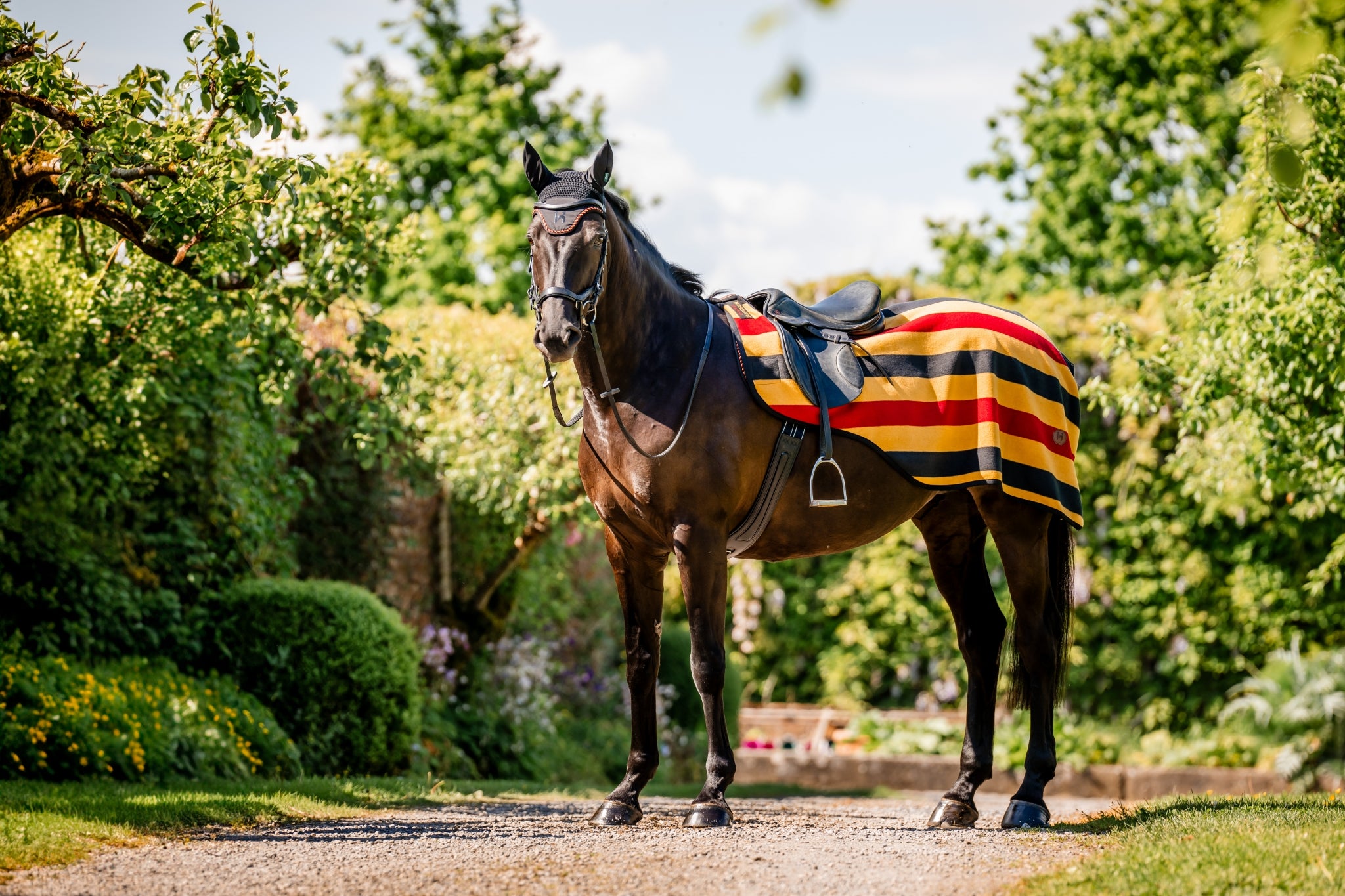 Horseware Newmarket Exercise Sheet