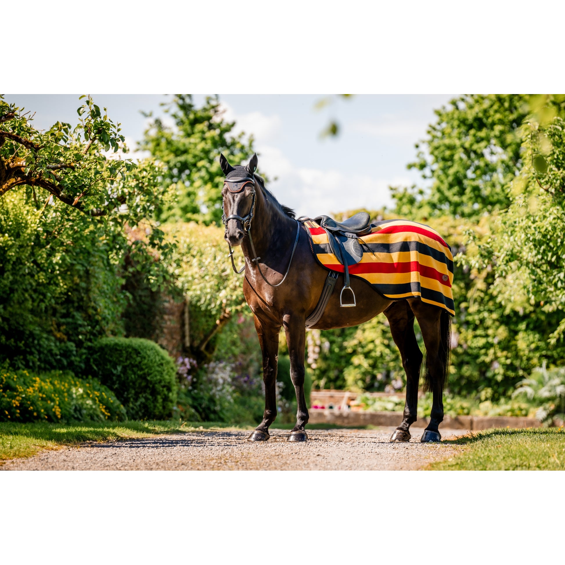 Horseware Newmarket Exercise Sheet