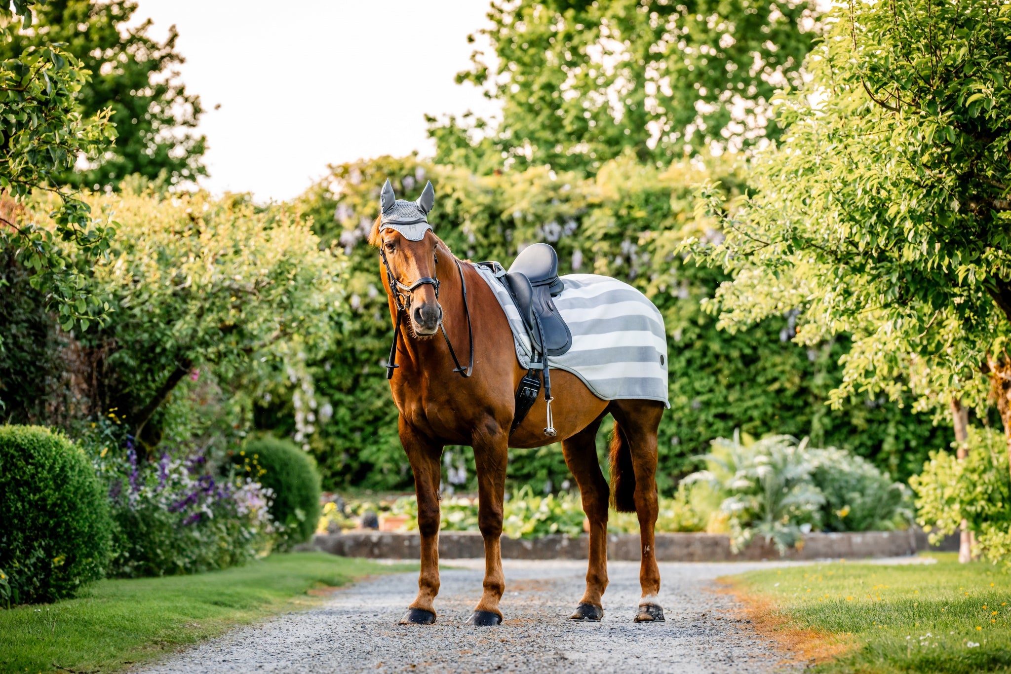 Horseware Newmarket Exercise Sheet