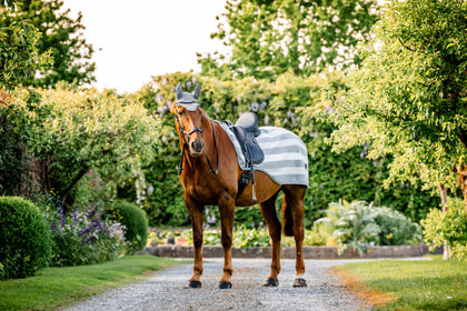 Horseware Newmarket Exercise Sheet