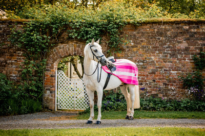 Horseware Newmarket Exercise Sheet