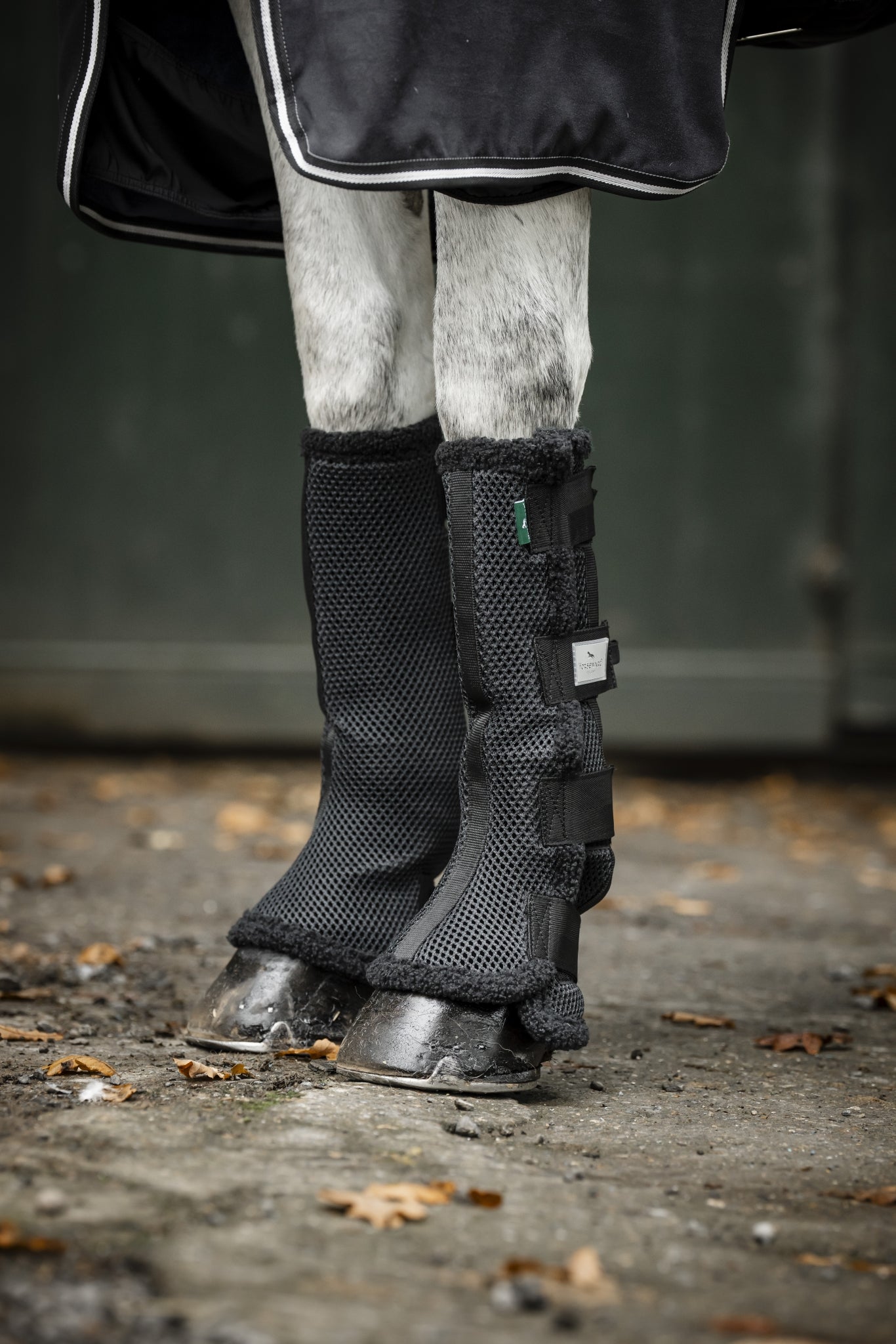 Horseware Show Ready Wraps