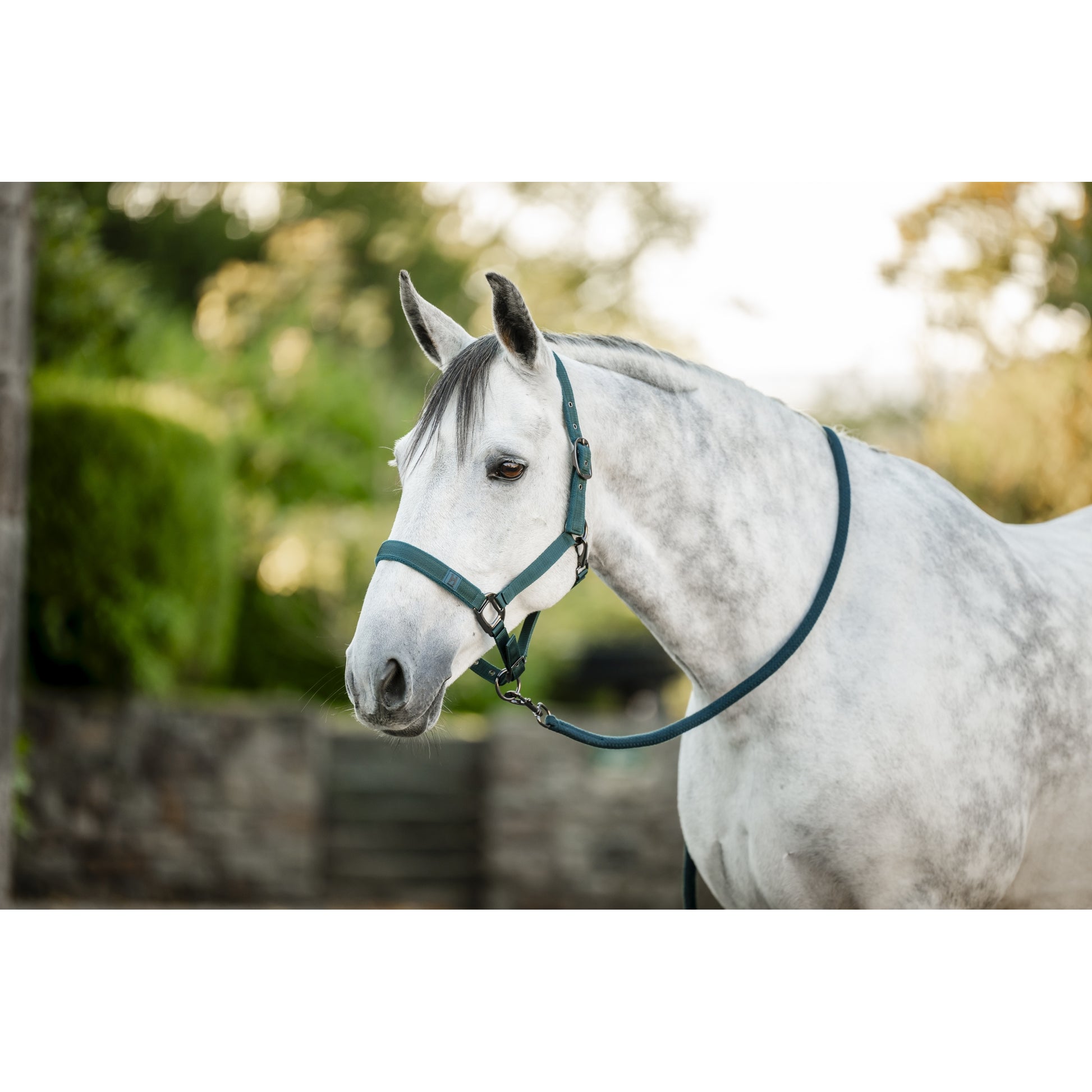 Horseware Halter & Lead Rope
