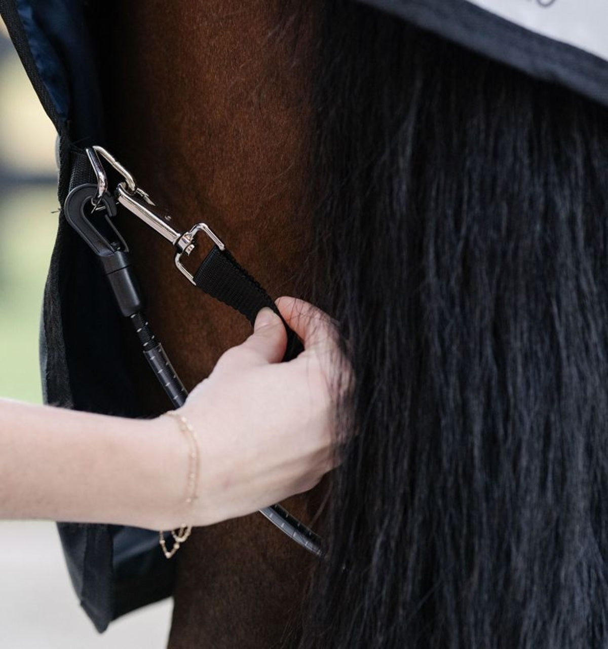 Horseware Elasticated Leg Straps