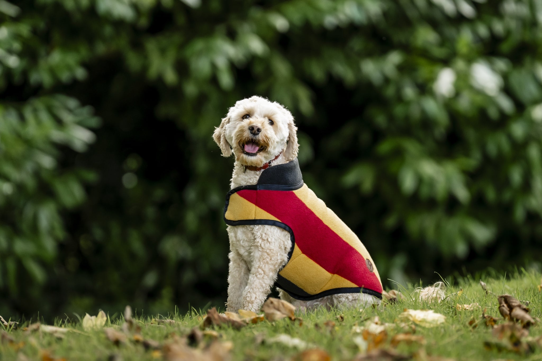 Horseware Newmarket Dog Fleece