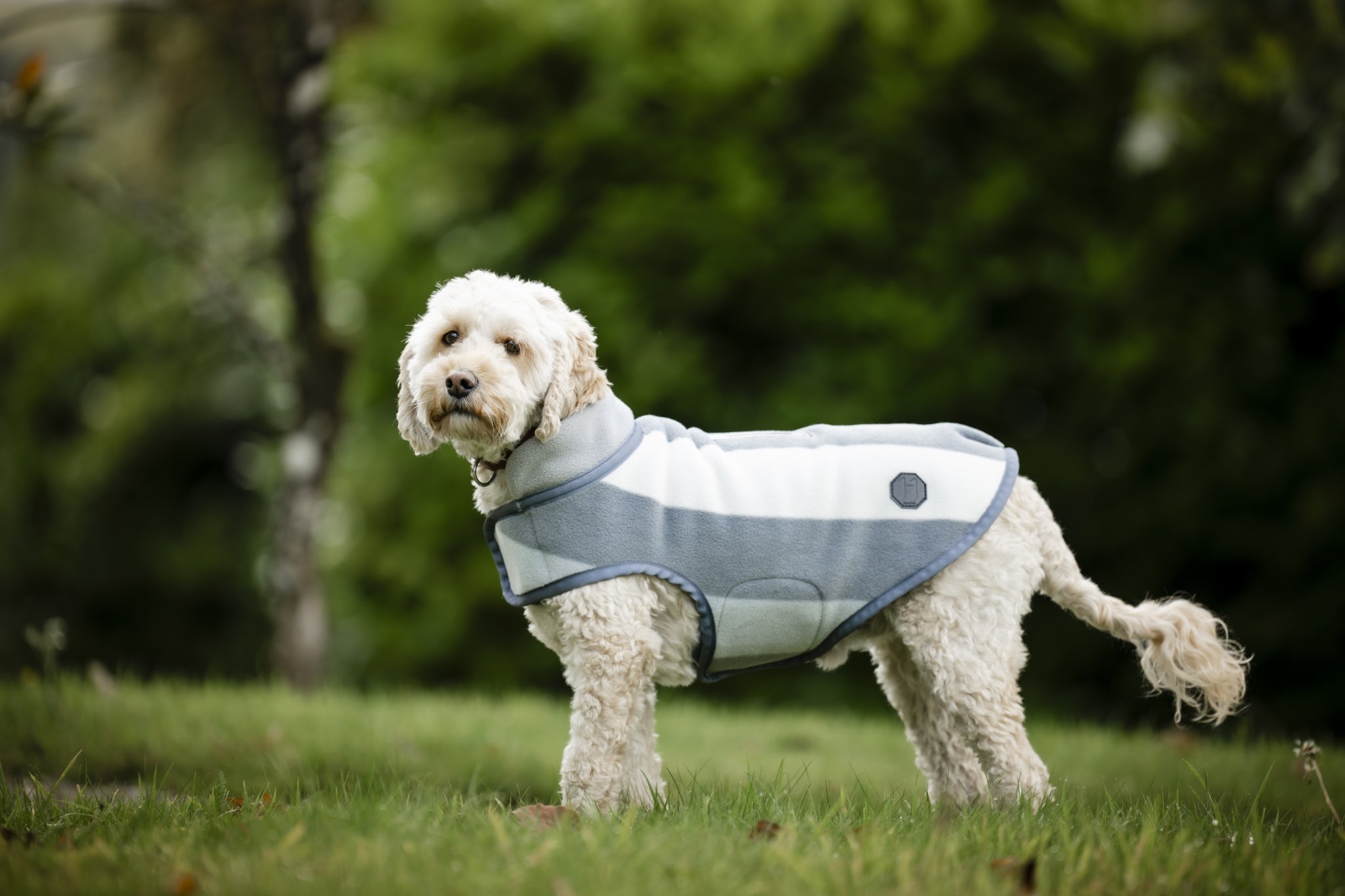 Horseware Newmarket Dog Fleece