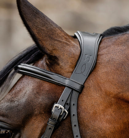 Horseware Figure 8 Grackle Bridle