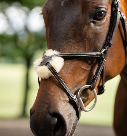 Horseware Figure 8 Grackle Bridle